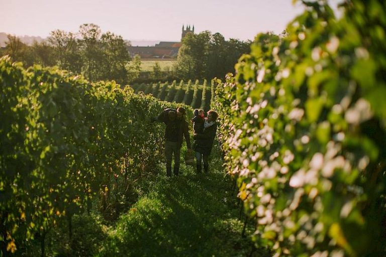 Heuvelland Entre Deux Monts Wine Walk uitverkocht op 2 dagen