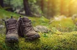 Walking.be