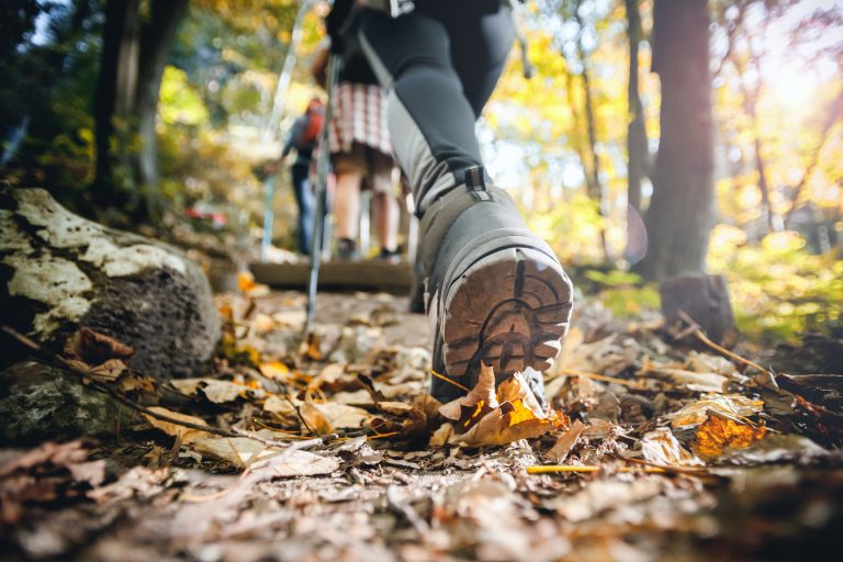Nouveau défi de randonnée : 20 km de la Forêt de Soignes
