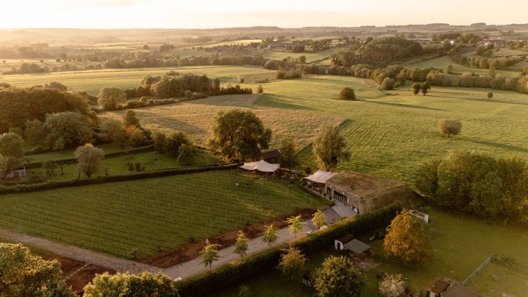 Ontdek Zuid-Limburg via de St. Martinus Wine Walk