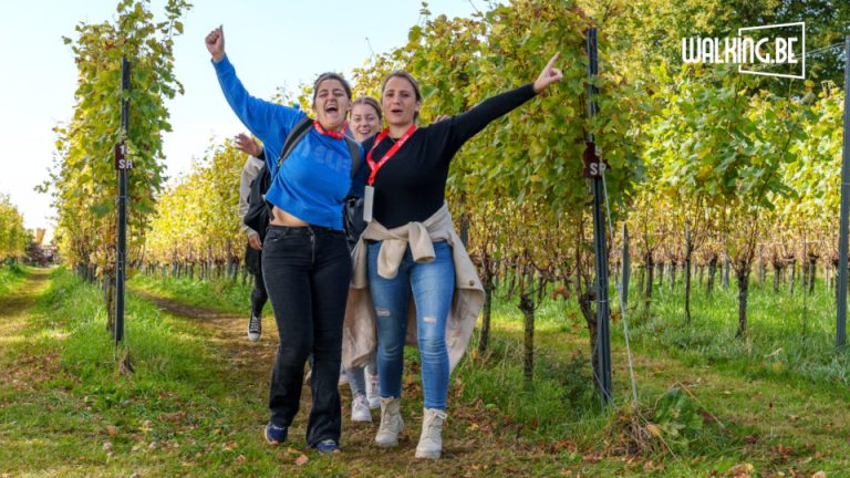 Mont de Kemmel Wine Walk 6 septembre, début des inscriptions le 23 février