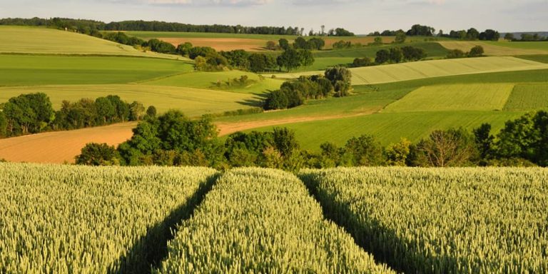 Vanaf 1 mei inschrijven voor de superpopulaire Limburg Wine Walk